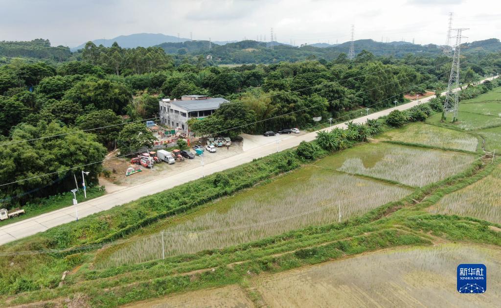 白菜注册体验金